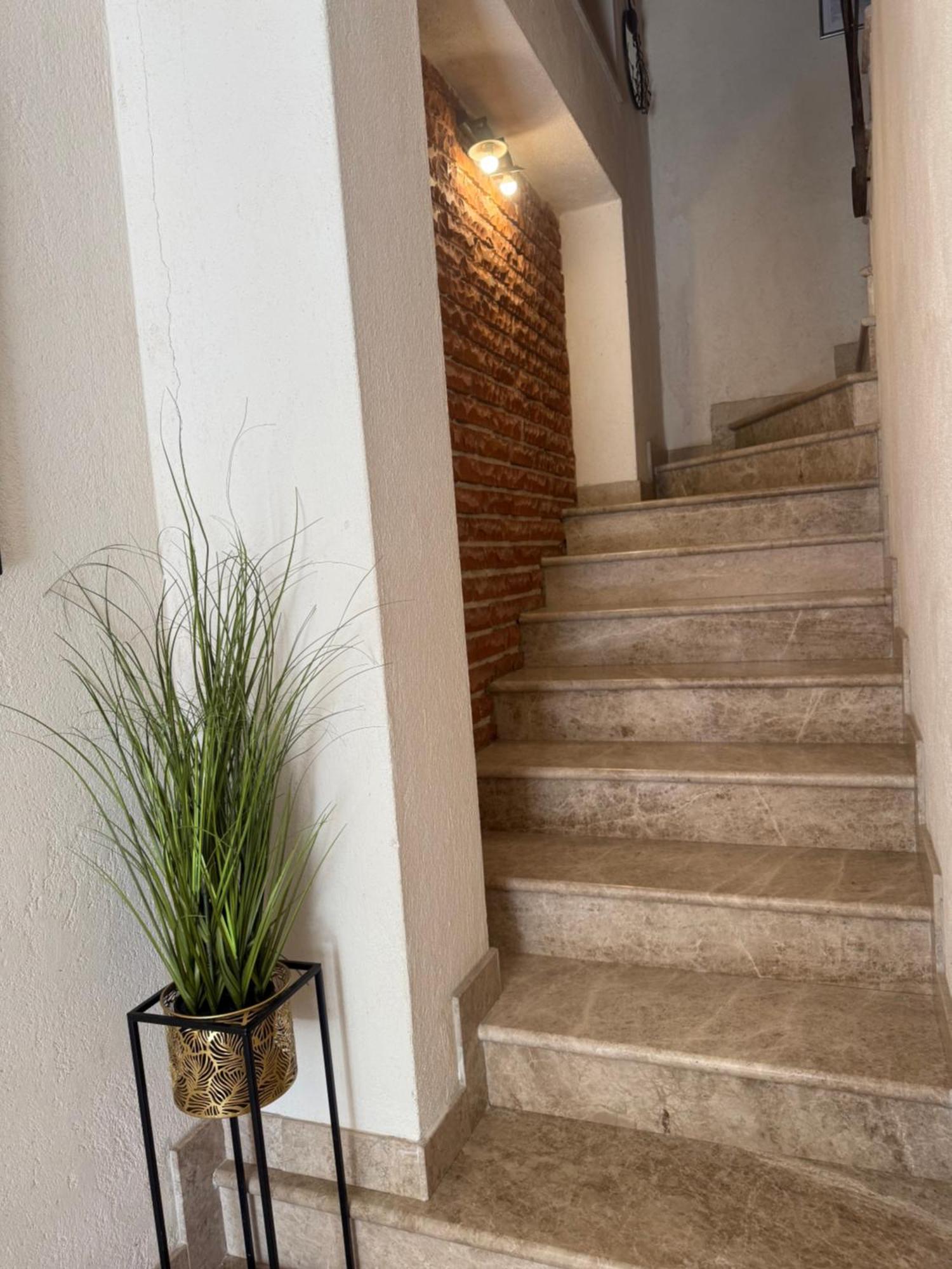 Skver Studio Apartments Herceg Novi Exterior foto